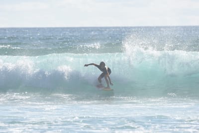 DSC_1846.JPG