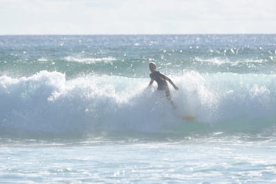 DSC_1849.JPG