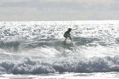 DSC_1866.JPG