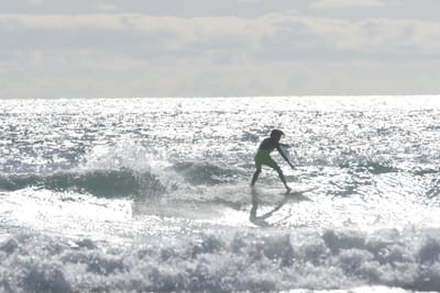 DSC_1869.JPG
