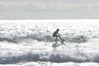 DSC_1871.JPG