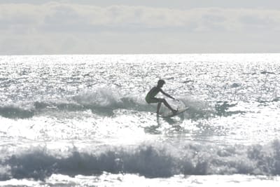 DSC_1872.JPG