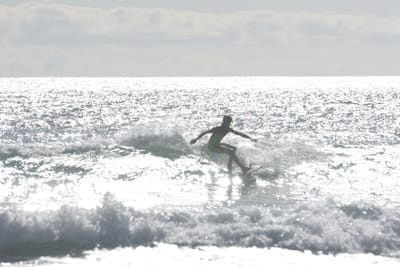 DSC_1874.JPG