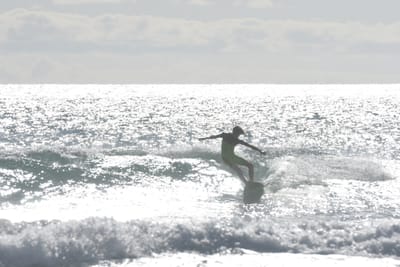 DSC_1876.JPG