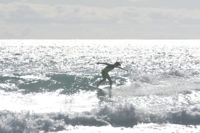 DSC_1878.JPG