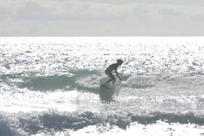 DSC_1879.JPG