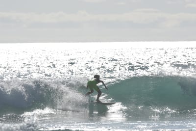DSC_1882.JPG
