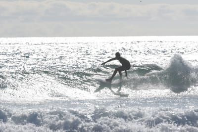 DSC_1911.JPG