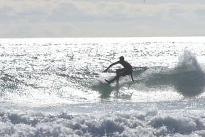 DSC_1912.JPG