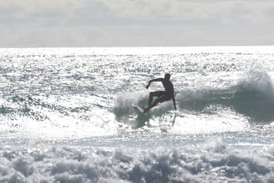 DSC_1913.JPG