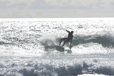 DSC_1914.JPG