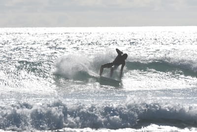 DSC_1915.JPG