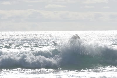 DSC_1926.JPG