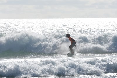 DSC_1930.JPG
