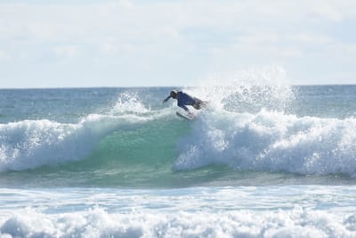 DSC_1947.JPG