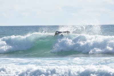 DSC_1948.JPG