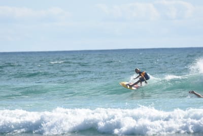 DSC_1949.JPG