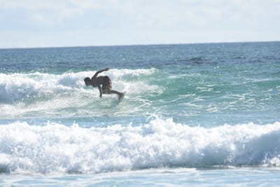 DSC_1977.JPG