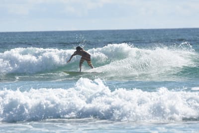 DSC_1981.JPG