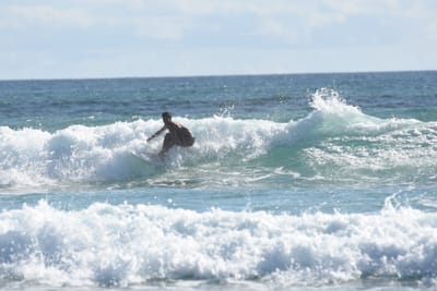 DSC_1982.JPG