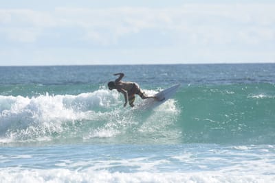 DSC_1983.JPG