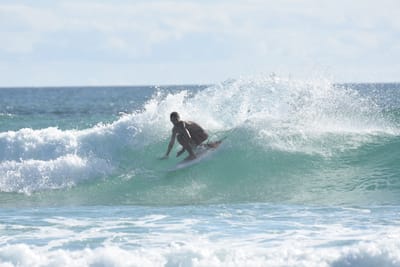 DSC_1987.JPG
