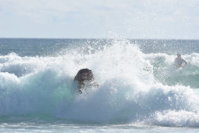 DSC_2002.JPG
