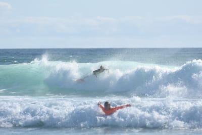 DSC_2008.JPG