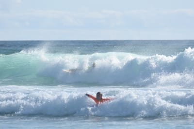 DSC_2009.JPG