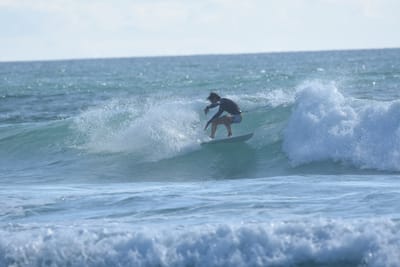 DSC_2016.JPG