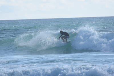 DSC_2017.JPG