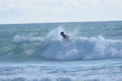 DSC_2018.JPG