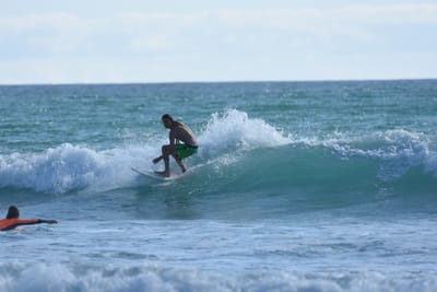 DSC_2050.JPG