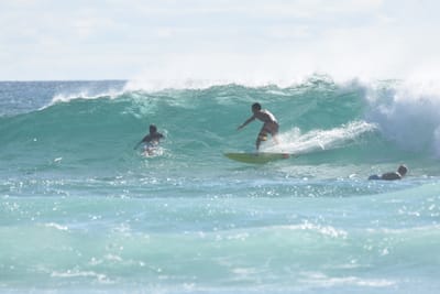 DSC_2071.JPG