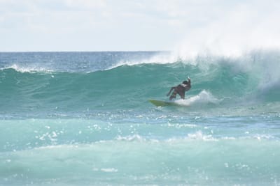 DSC_2074.JPG