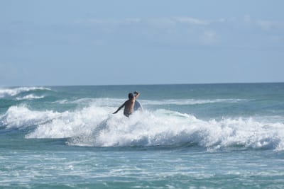 DSC_2125.JPG