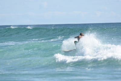 DSC_2133.JPG