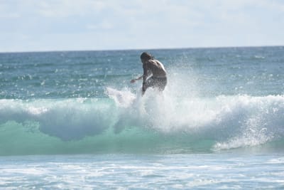 DSC_2194.JPG