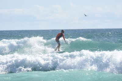 DSC_2216.JPG