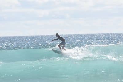 DSC_2223.JPG