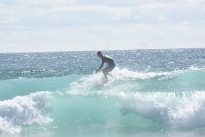 DSC_2225.JPG