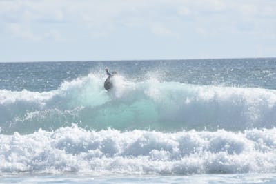 DSC_2239.JPG