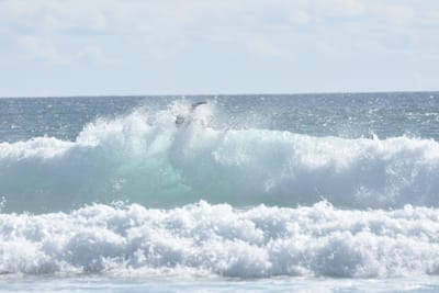 DSC_2240.JPG