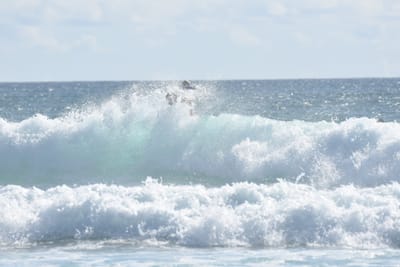 DSC_2241.JPG