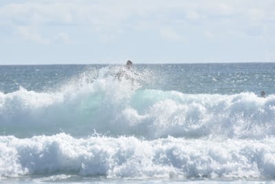 DSC_2242.JPG