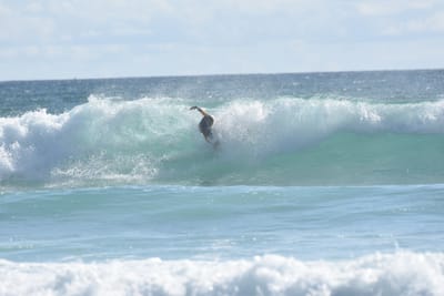 DSC_2248.JPG