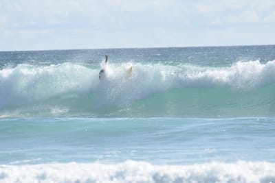 DSC_2249.JPG