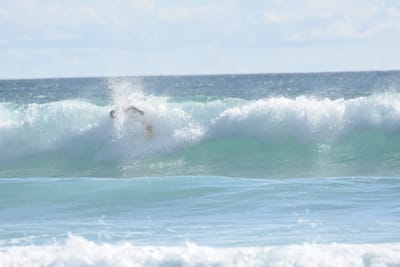 DSC_2250.JPG