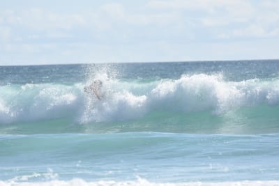 DSC_2251.JPG