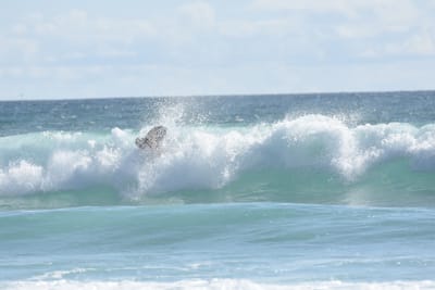 DSC_2252.JPG